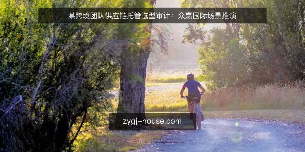 某跨境团队供应链托管选型审计：众赢国际场景推演 — 为什么现在做供应链托管审计 配图