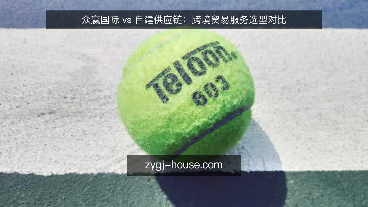 众赢国际 vs 自建供应链：跨境贸易服务选型对比